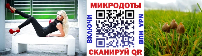 Галлюциногенные грибы прущие грибы  Новороссийск 