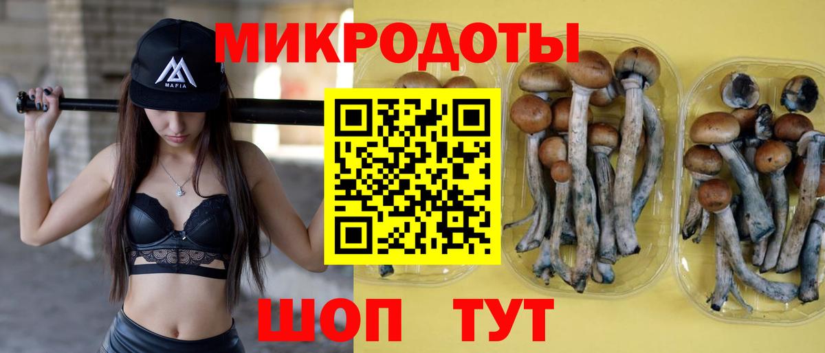 Псилоцибиновые грибы Magic Shrooms  Псилоцибиновые грибы прущие грибы  Новороссийск  Вход с VPN 