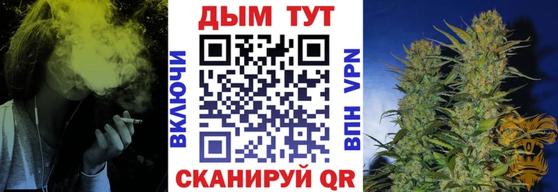 купить закладку  Новороссийск  Бошки марихуана THC 21% 